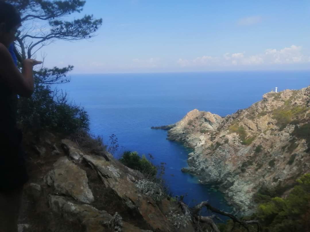 Varie escursioni nel territorio Pisano